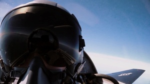 T-38 Talon Primecuts