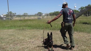 SrA Damon Hunt and MWD Borys (b-roll)