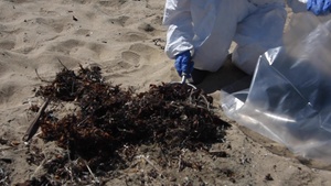 Volunteers conduct beach cleanups on Bolsa Chica State Beach