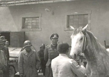76th Anniversary of the Return of the Lipizzaner Horses