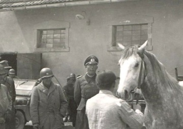 76th Anniversary of the Return of the Lipizzaner Horses