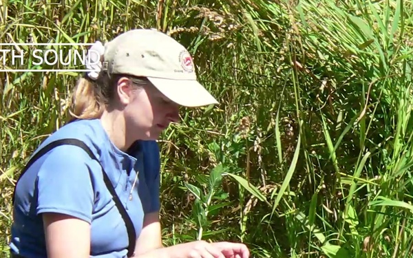 DEA 52 - Tammy Mackey.mp4