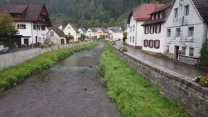 Explore Europe Black Forest