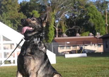SrA Spencer Slocum Capstone B-Roll