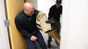 Military Working Dog Team