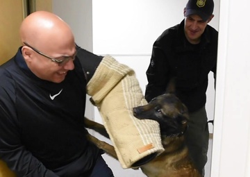 Military Working Dog Team