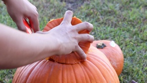 If you’re having a pumpkin party, make sure everyone knows what kind of party it is.