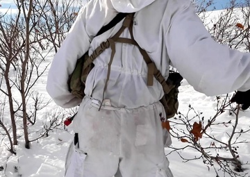 U.S. and Indian Army troops conduct field training exercise