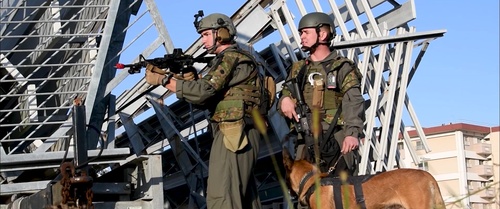 Active Shield 2021