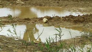 Marines with 9th ESB conduct entrenching exercise
