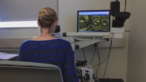 Raw footage of NIBIN process