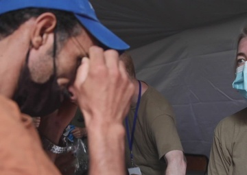 African Lion 2021 optometry care B-roll