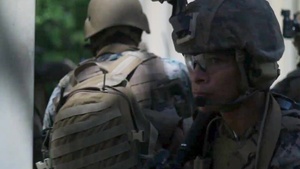 The Marine Corps Logistics Command's 246th Marine Corps Birthday Message