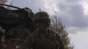 3d Battalion, 12th Marines ARTP 21.3