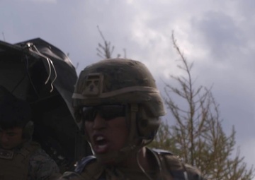 3d Battalion, 12th Marines ARTP 21.3