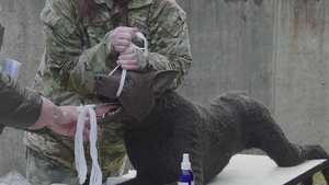 International K-9 Tactical Combat Casualty Care Short Course
