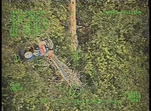 Coast Guard rescues man from tree near Cape Lookout State Park, OR