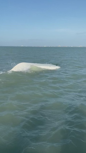 Coast Guard rescues 4 from capsized vessel near Port Isabel, Texas