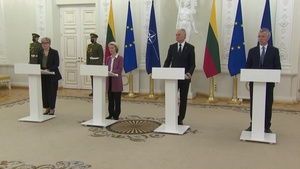 Joint press conference: opening remarks by the Prime Minister of Lithuania