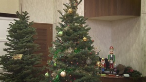 Festival of Trees 2019