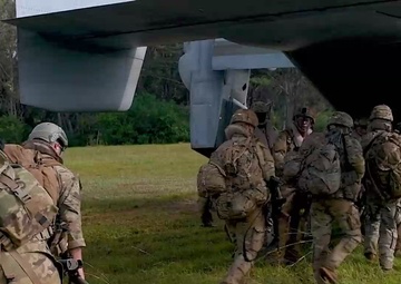 Lightning Academy strengthens allied bonds through training.