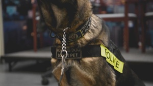 64th Medical Detachment (VSS) International K9TCCC Program