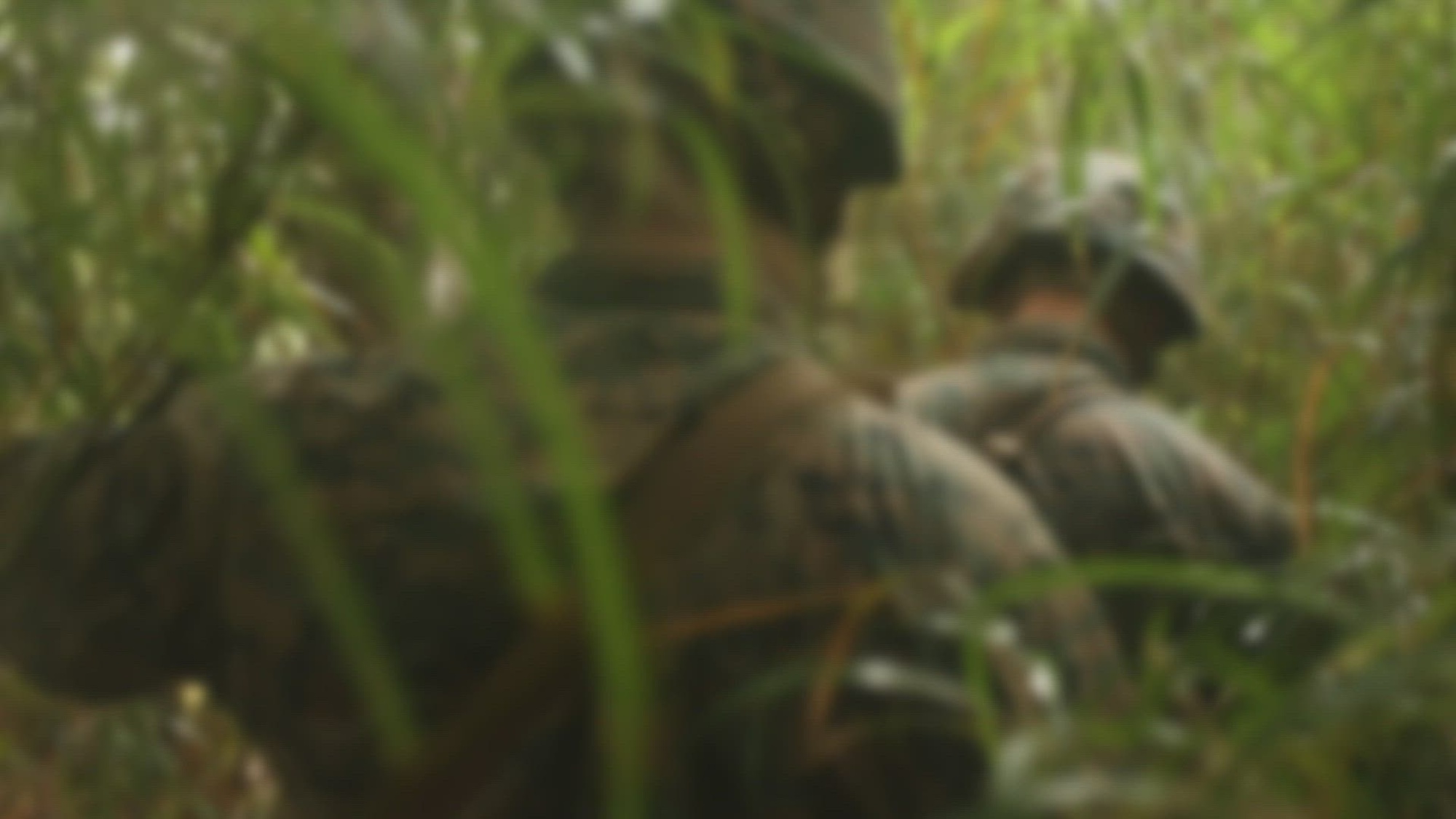 U.S. Marines with Combat Logistics Battalion 31, 31st Marine Expeditionary Unit (MEU), experience jungle warfare training and tactics at Jungle Warfare Training Center (JWTC), Camp Gonsalves, Okinawa, Japan, Nov. 17, 2021. Marines practiced rappelling, land navigation, and patrolling at JWTC to increase jungle warfare proficiency in the Indo-Pacific region. The 31st MEU, the Marine Corps’ only continuously forward-deployed MEU, provides a flexible and lethal force ready to perform a wide range of military operations as the premiere crisis response force in the Indo-Pacific region. (U.S. Marine Corps photo by Lance Cpl. Cesar Ronaldo Alarcon)