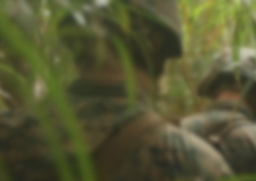 31st MEU: Jungle Warfare Training
