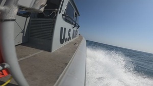 Bull Shark Exercise at Djibouti