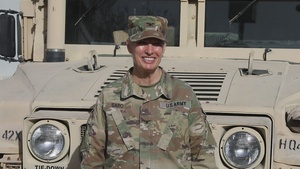 Holiday Greeting for Elmhurst, IL