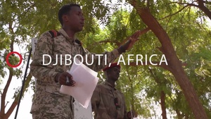 Security Forces Assistance Brigade- Video 2 of 3- With Graphics