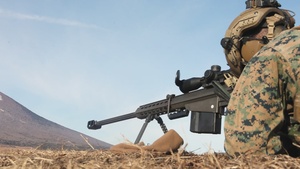 2/8 and JGSDF Conduct Live-Fire Defense