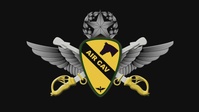 Air Cav MEDEVAC  Request Training