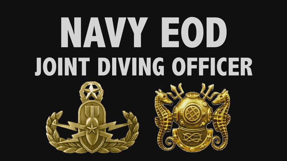 DVIDS Video MDSU2 CO Discusses Joint Diving Officer Program