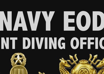 MDSU2 CO Discusses Joint Diving Officer Program