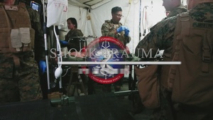 Shock Trauma Platoon