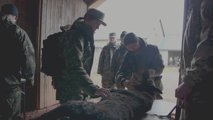 K9 Tactical Combat Casualty Care (w/o Graphics 720p)