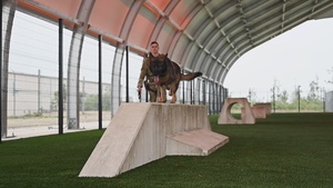 Tyndall trains MWDs with new obedience course