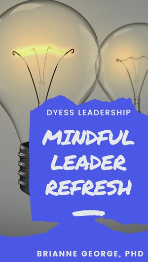 Leadership Snacks; Mindful Leader Refresh