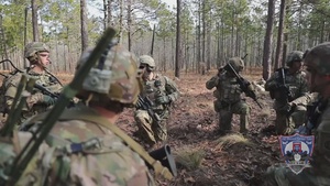 Falcon Brigade Platoon Live fires