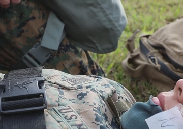 Iron Dragon 22-1 | Combat Logistics Regiment 37 conducts regimental exercise