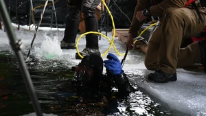 Minnesota National Guard Partners with Coast Guard, Navy for Dive Training