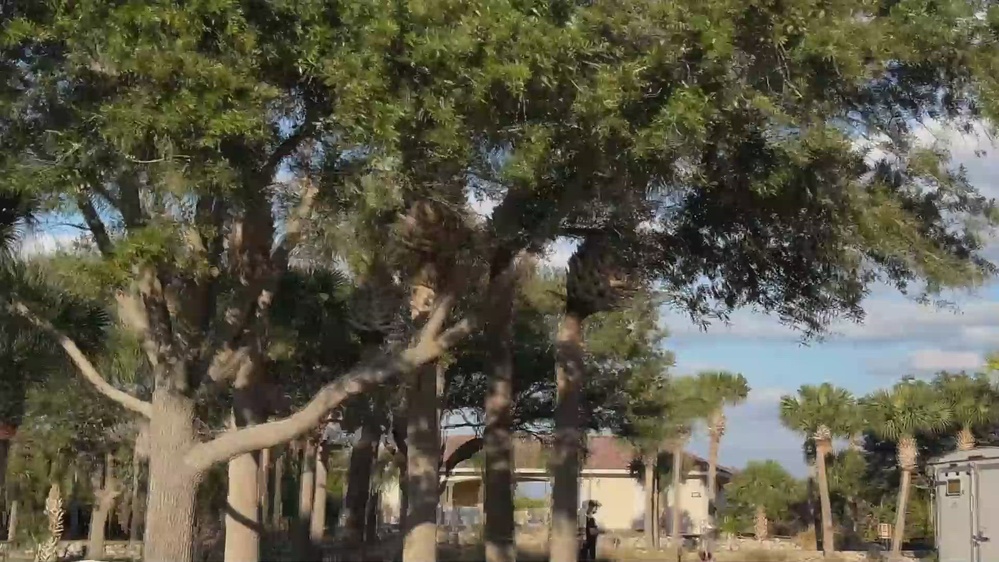 DVIDS Video 6 MXS Wheel and Tire Shop