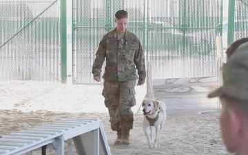 Military Working Dog Handler Demonstration