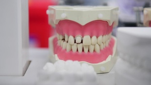 RUYS: 31st Dental Squadron