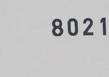 Army Housing Survey (1080p w/o Graphics)