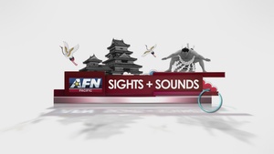 Sights & Sounds Strawberry Festival