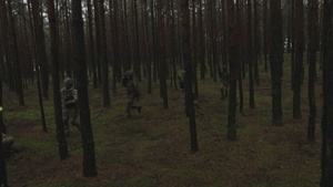 B-ROLL: Black Horse Troop conducts Live Fire Tactical Training in Poland