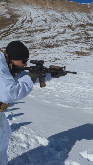 Steel Blizzard Live Fire Range Reel