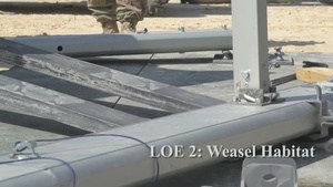 LOE 2 - Weasel Habitat